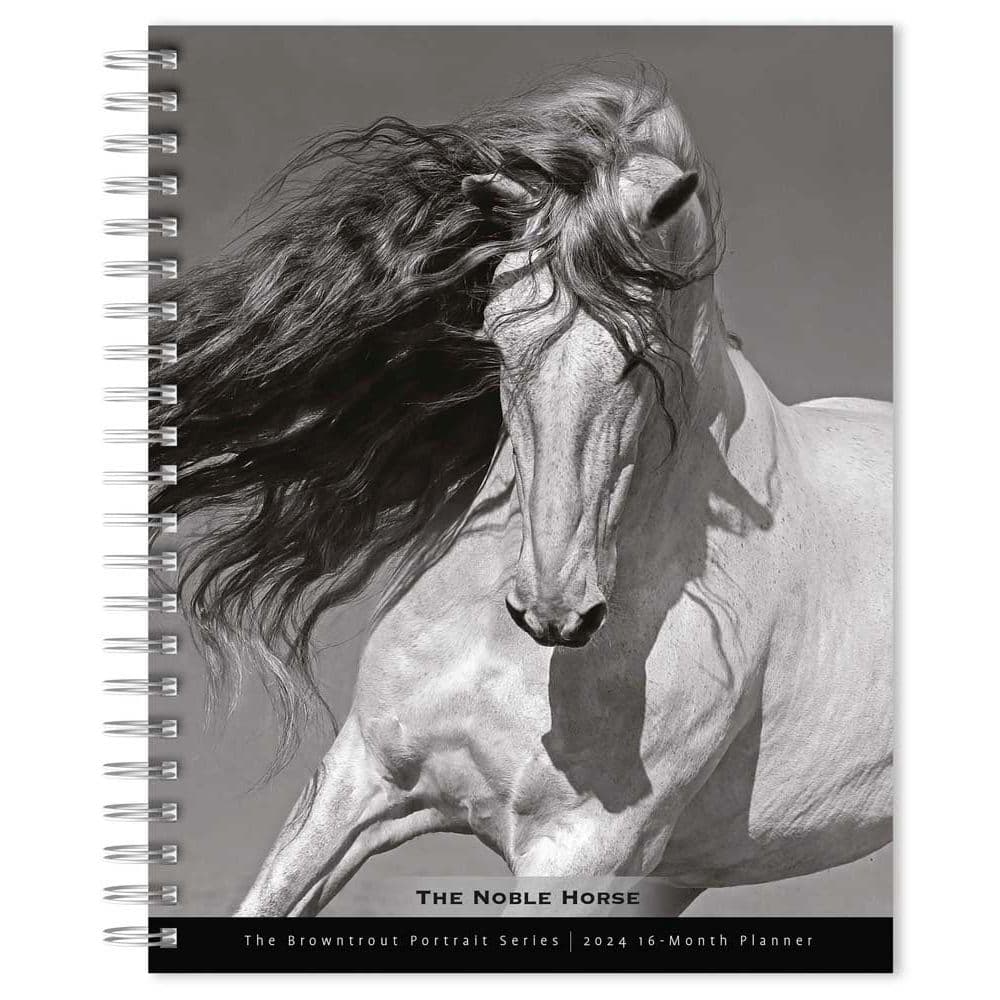 BrownTrout Portrait Series Noble Horse 2024 Wall Calendar Main Product Image width=&quot;1000&quot; height=&quot;1000&quot;