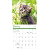 image Kittens 2026 Mini Wall Calendar Second Alternate Image