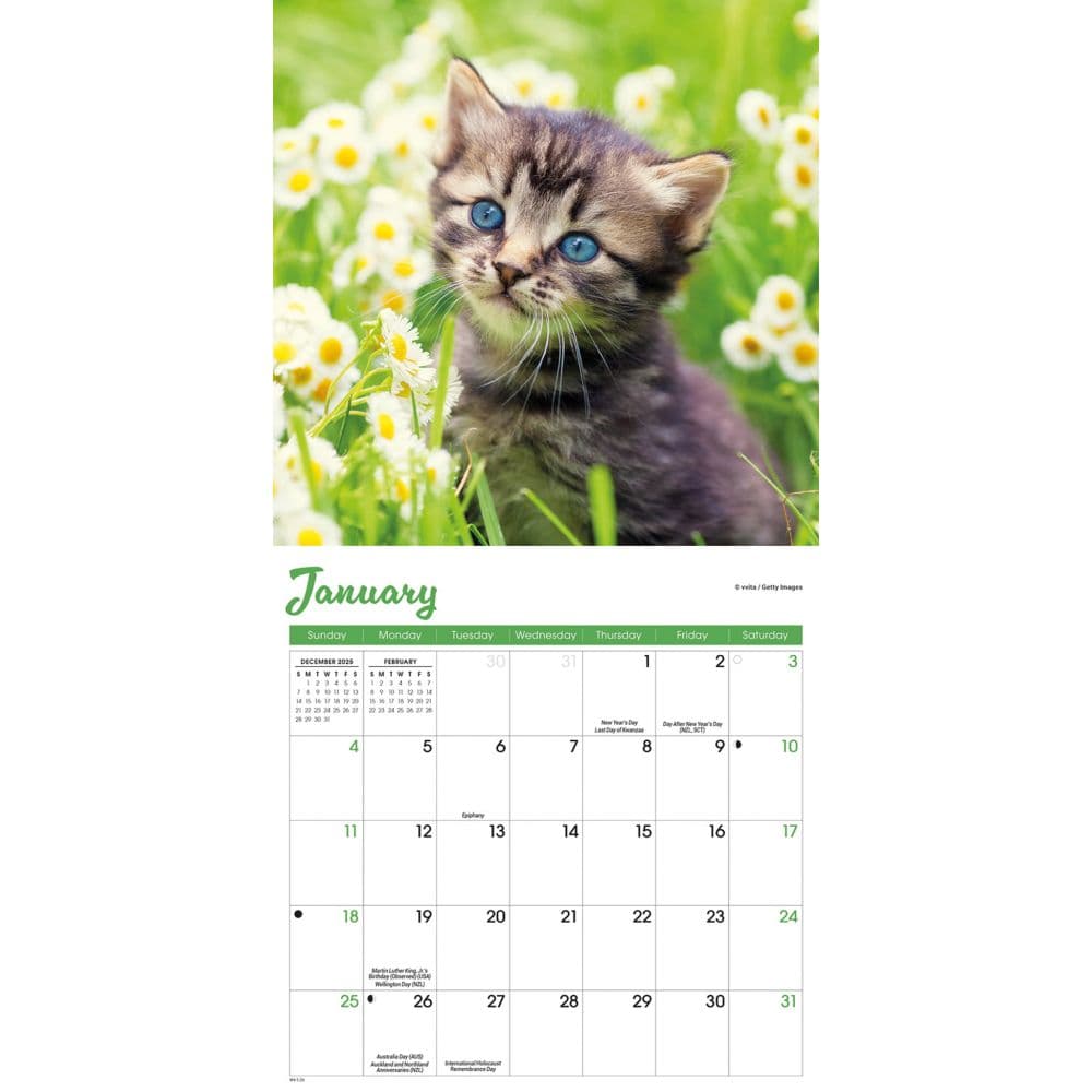 Kittens 2026 Mini Wall Calendar Second Alternate Image