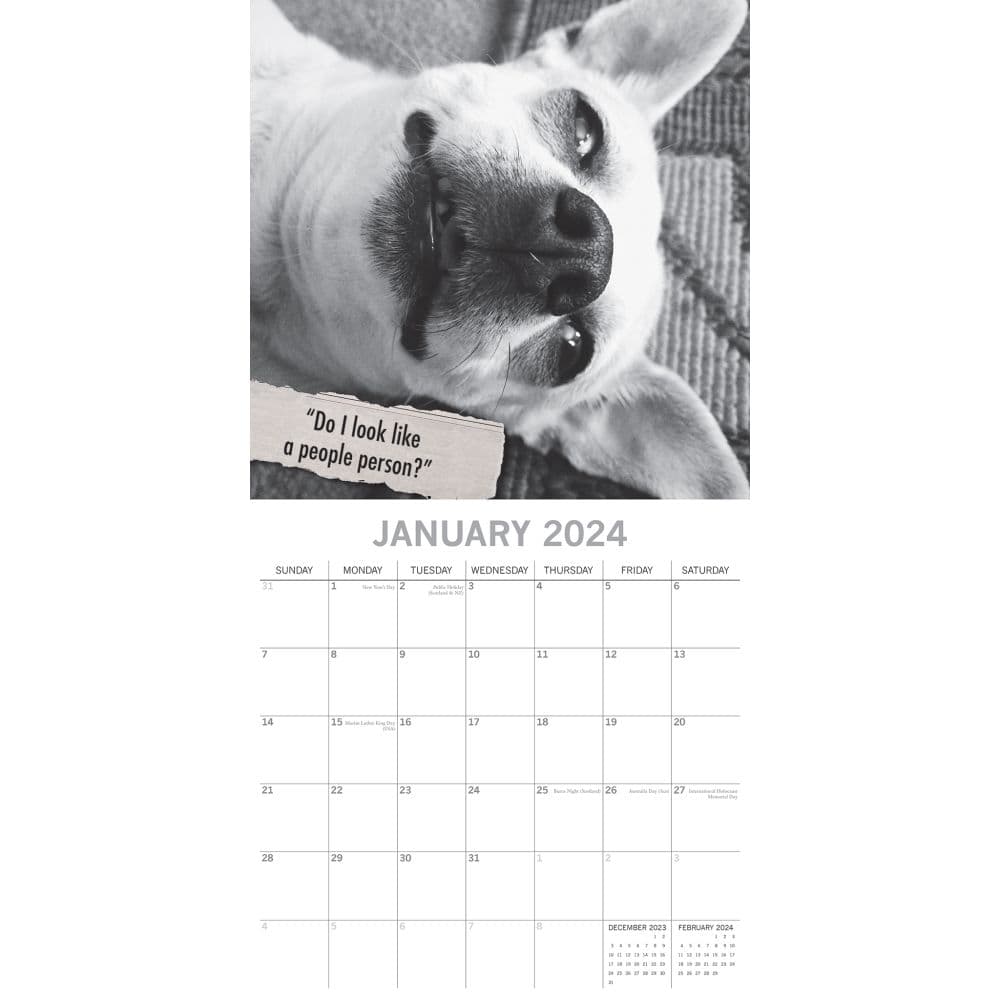 Mutts 2024 Wall Calendar