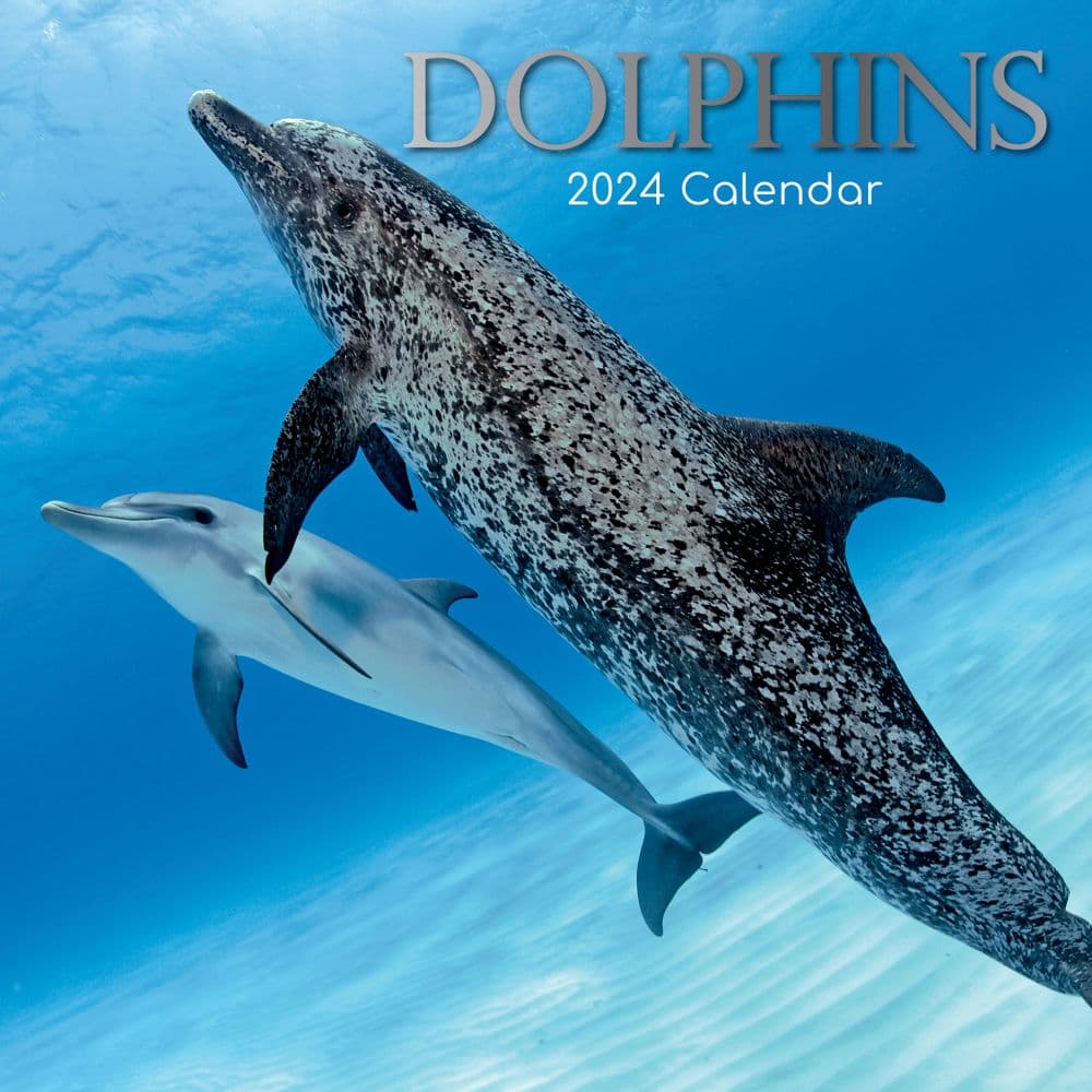 Miami Dolphins 2024 12x12 Team Wall Calendar