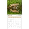 image Wolves 2026 Mini Wall Calendar Second Alternate Image