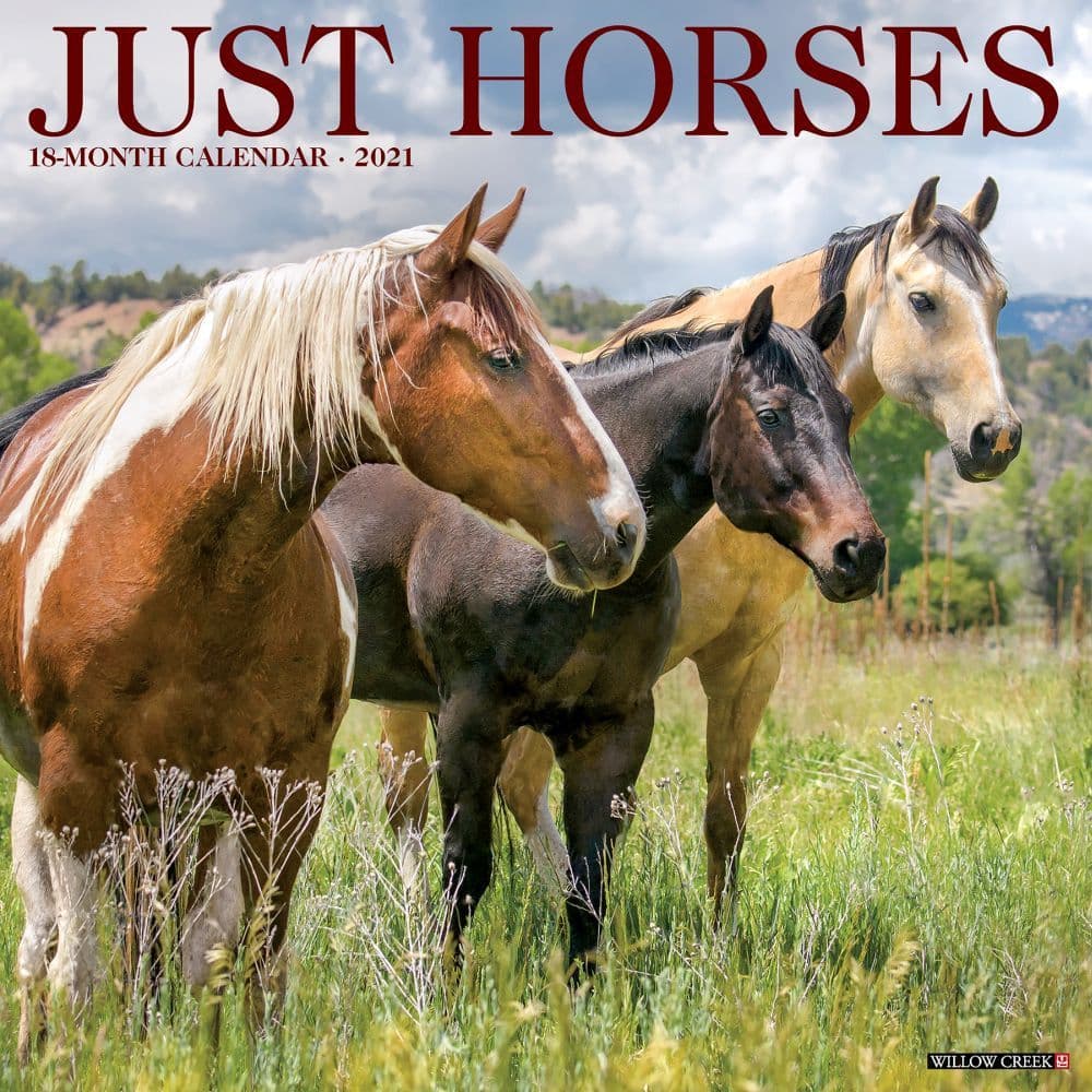 32 Best 2021 Horse Calendars Calendar Buy
