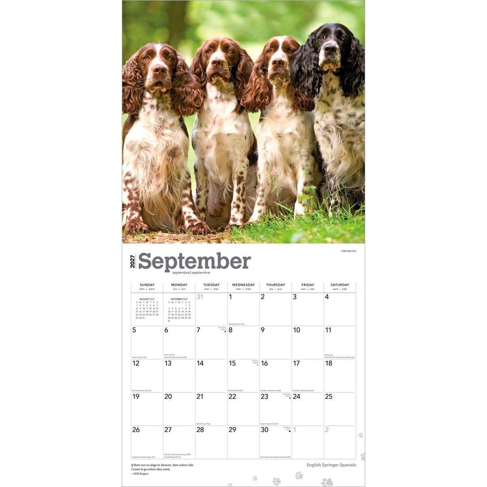 English Springer Spaniels 2027 Wall Calendar Third Alternate Image