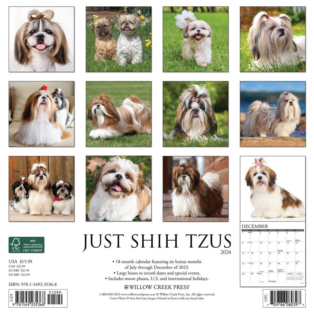 Just Shih Tzus 2024 Wall Calendar Calendars Com   32abd01c 017c 4ec7 9d04 De19be38372b