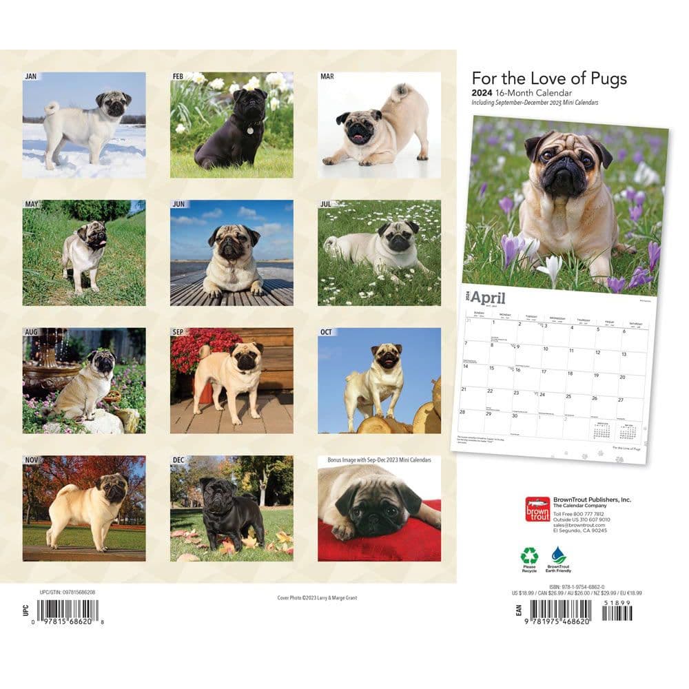 Pugs Deluxe 2024 Wall Calendar