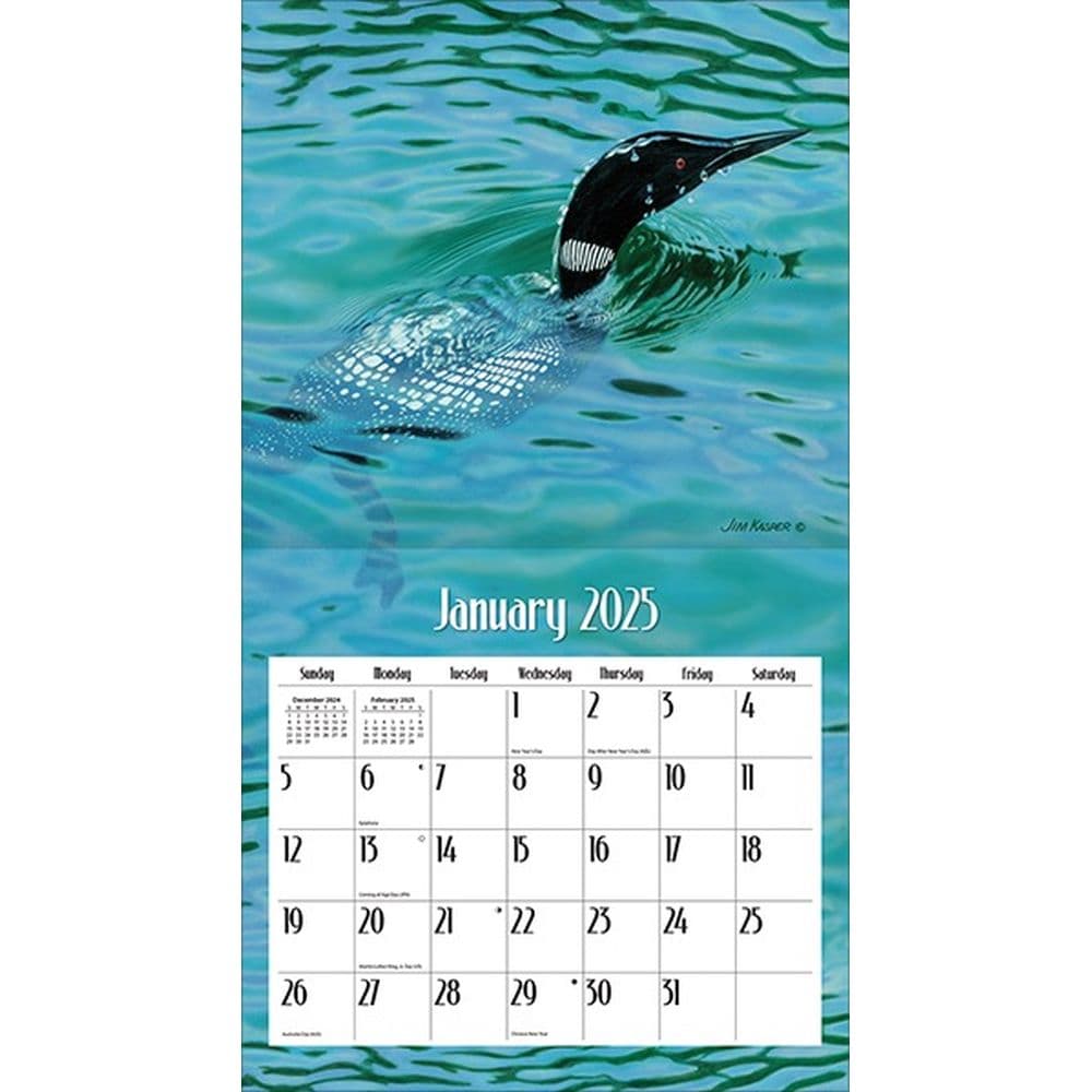 Loons on the Lake by Jim Kasper 2025 Wall Calendar Second Alternate Image width=&quot;1000&quot; height=&quot;1000&quot;