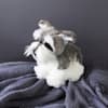 image Floppy Schnauzer 9 Inch Plush Fourth Alternate Image