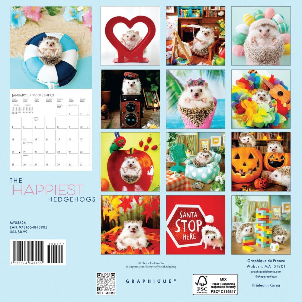Happiest Hedgehogs 2026 Mini Wall Calendar First Alternate Image