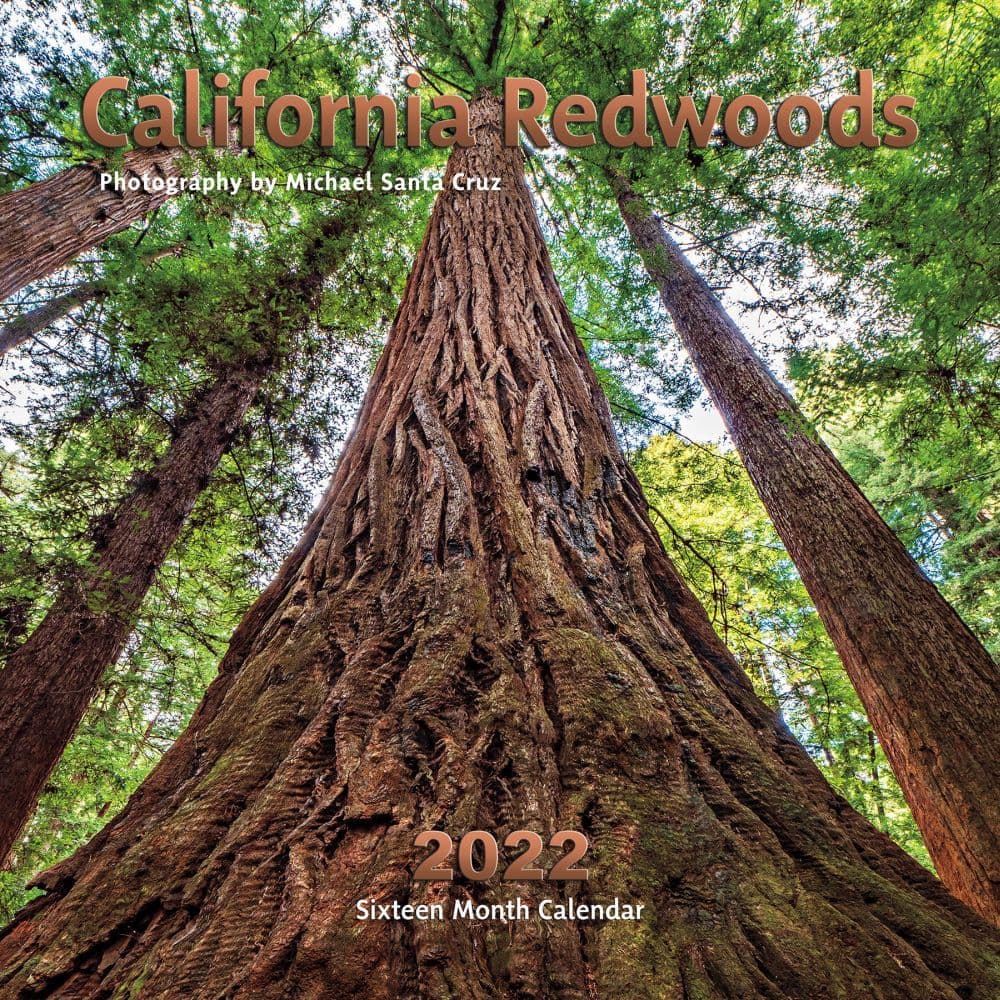 California Redwoods 2022 Wall Calendar - Calendars.com