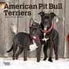 image American Pit Bull Terriers 2025 Mini Wall Calendar Main Image