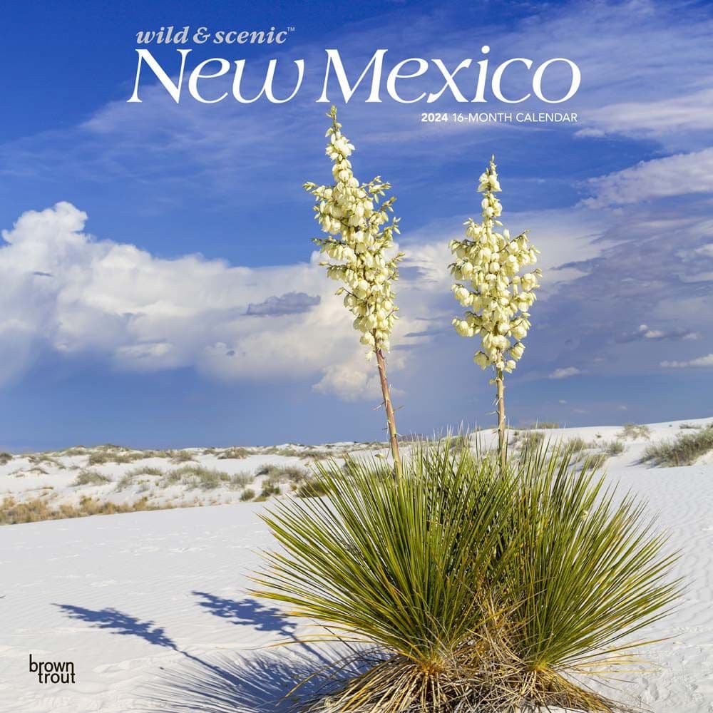 New Mexico Wild and Scenic 2024 Wall Calendar Main Product Image width=&quot;1000&quot; height=&quot;1000&quot;