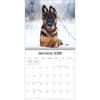 image Playful Puppies 2026 Wall Calendar_ALT3