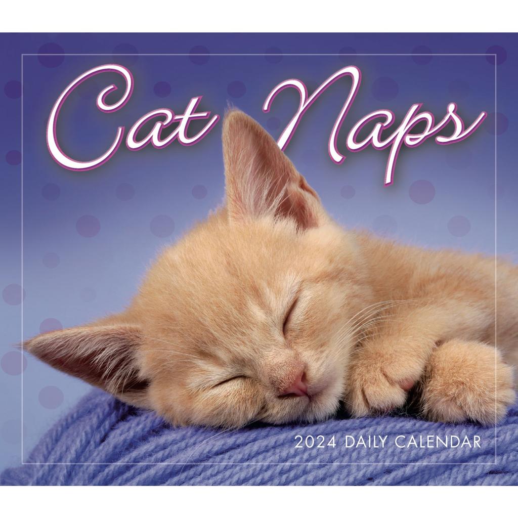 Cat Naps 2024 Desk Calendar Fourth Alternate Image width=&quot;1000&quot; height=&quot;1000&quot;