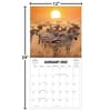 image African Safari 2025 Wall Calendar