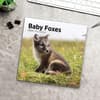 image Baby Foxes 2024 Wall Calendar Fifth Alternate Image width=&quot;1000&quot; height=&quot;1000&quot;