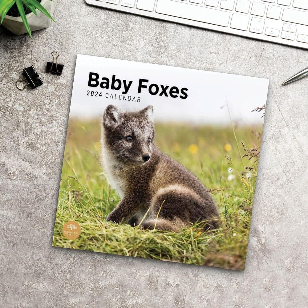 Baby Foxes 2024 Wall Calendar Fifth Alternate Image width=&quot;1000&quot; height=&quot;1000&quot;