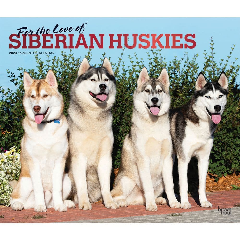 BrownTrout Siberian Huskies For the Love of 2023 Deluxe Wall Calendar