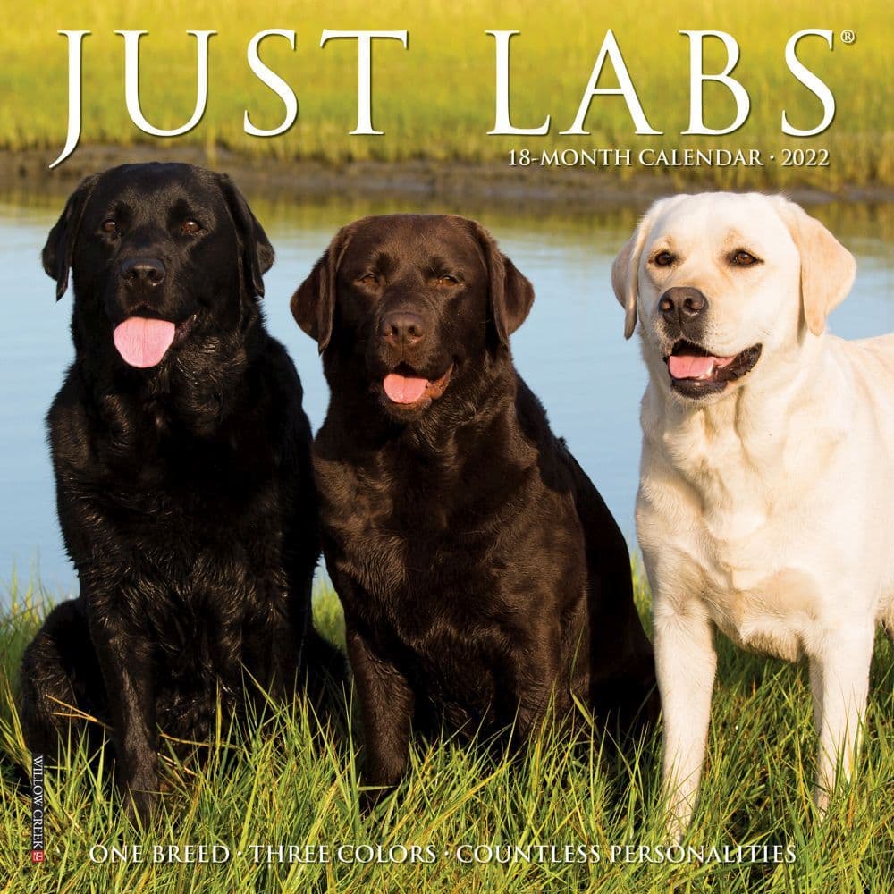 Just Labs 2022 Mini Wall Calendar