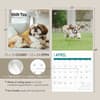 image Shih Tzu 2025 Wall Calendar Seventh Alternate Image