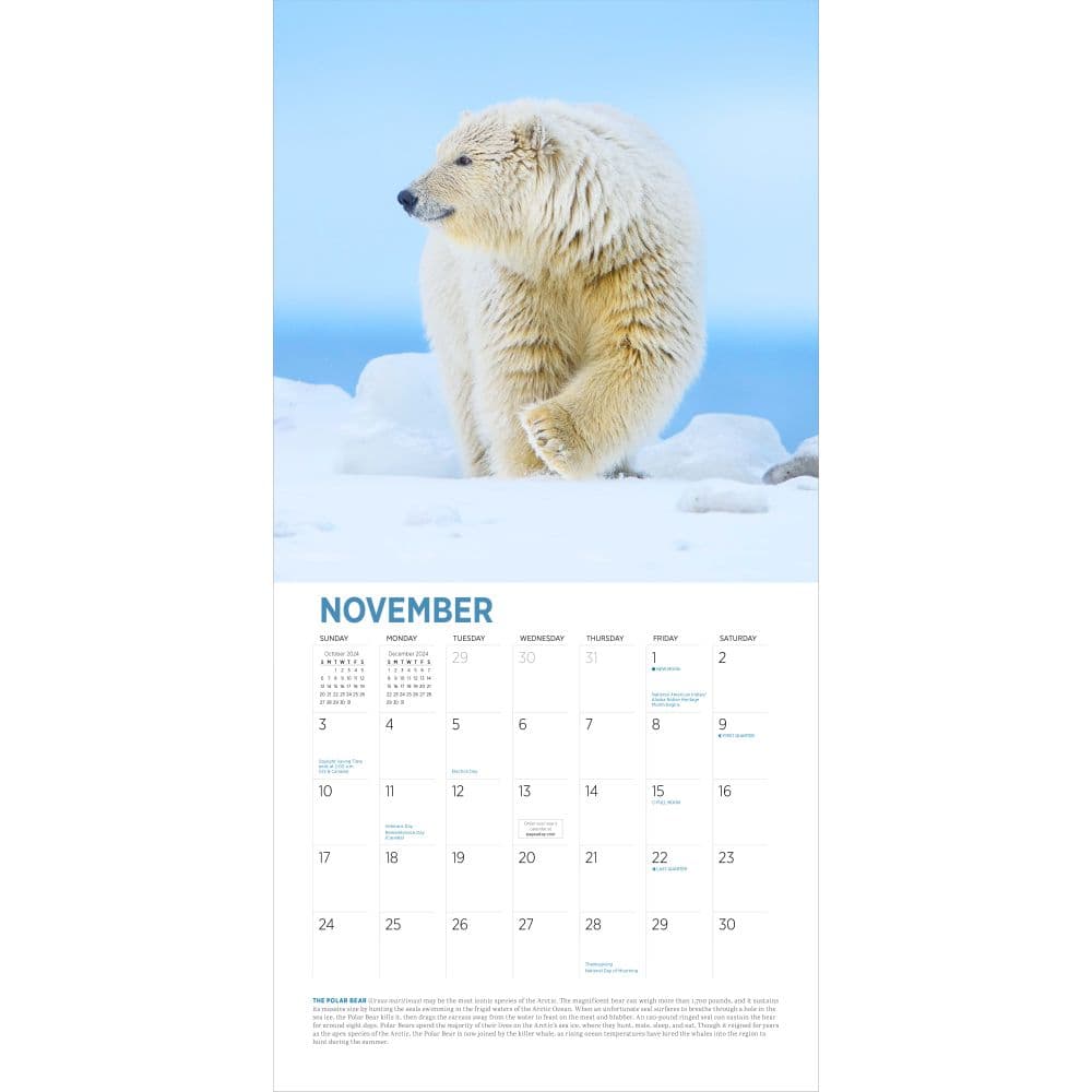 Audubon Arctic 2024 Wall Calendar Alternate Image 2