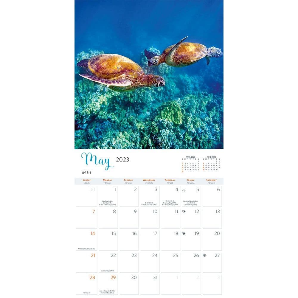 Hawaiian Moon Calendar 2023 Hawaiian Sea Turtles 2023 Wall Calendar - Calendars.com
