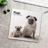 image Pugs 2025 Wall Calendar Fourth Alternate Image