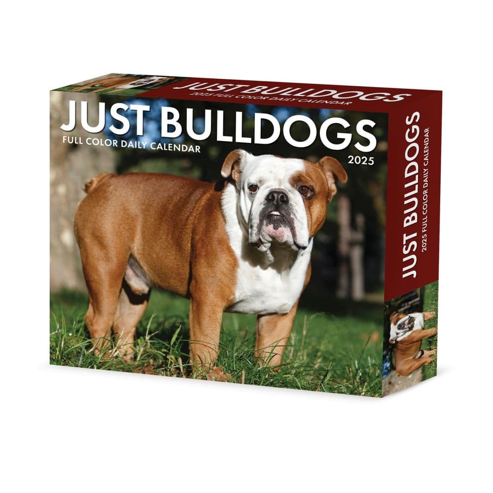 Just Bulldogs 2025 Desk Calendar Main Product Image