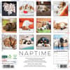 image Naptime Dogs Special Value 2026 Wall Calendar First Alternate Image