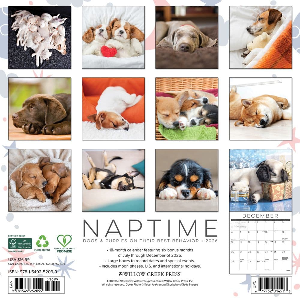Naptime Dogs Special Value 2026 Wall Calendar First Alternate Image