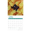 image Tropical Fish 2025 Wall Calendar Second Alternate Image width=&quot;1000&quot; height=&quot;1000&quot;