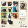 image Black Cats 2025 Mini Wall Calendar