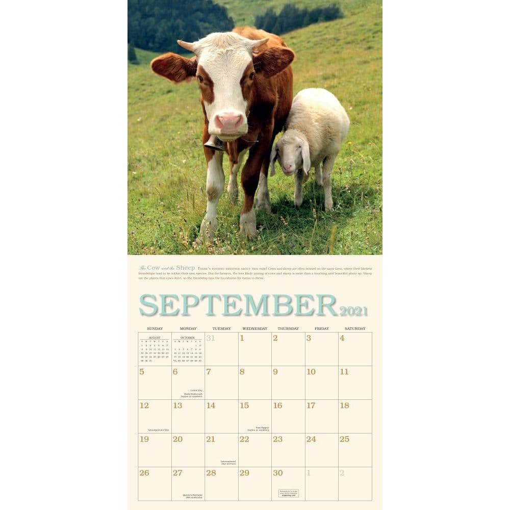 Unlikely Friendships Wall Calendar