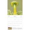 image Fantastic Fungi 2026 Wall Calendar Third Alternate Image