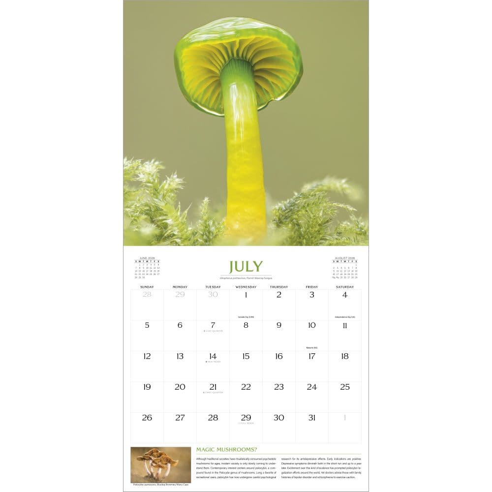 Fantastic Fungi 2026 Wall Calendar Third Alternate Image