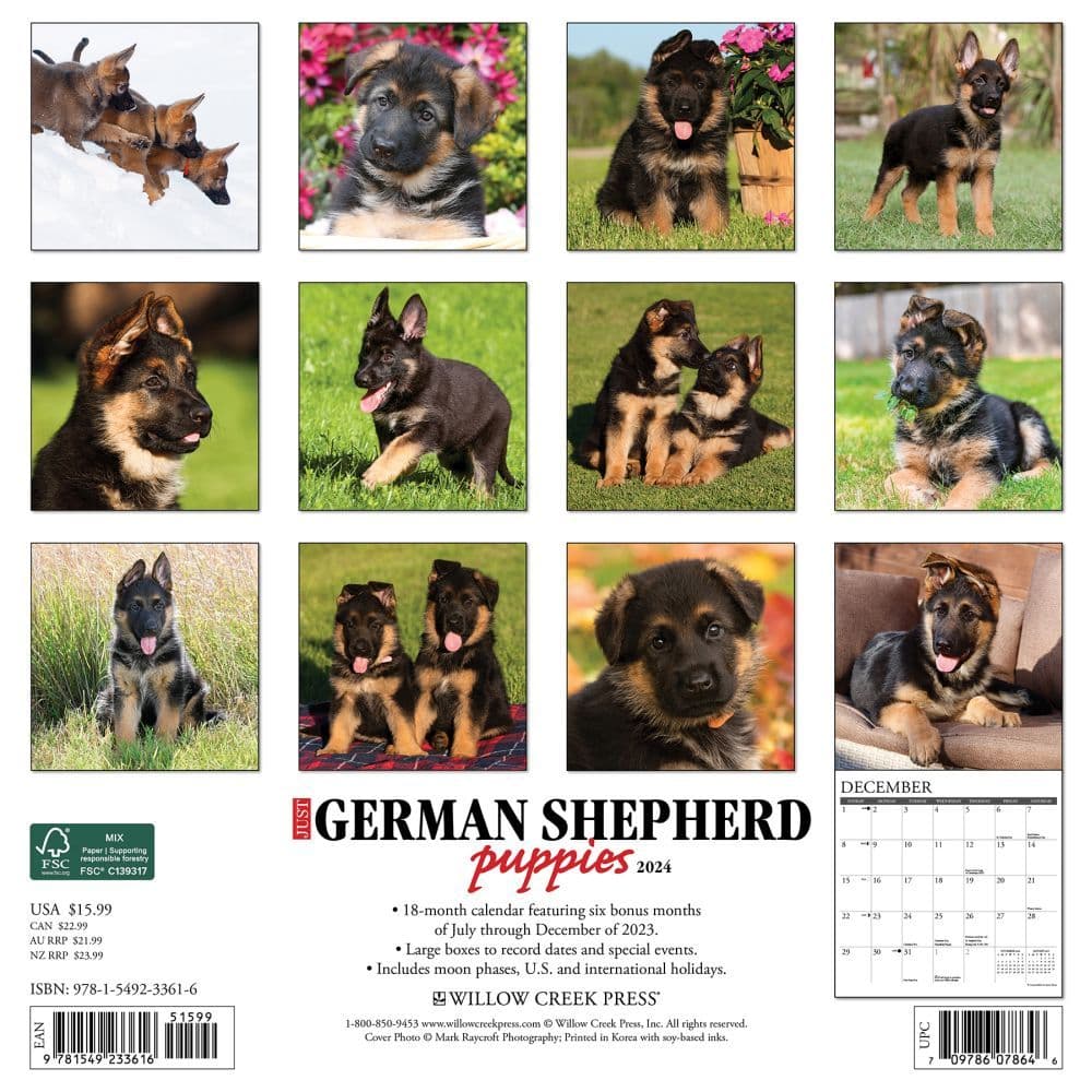 Just German Shepherd Puppies 2024 Wall Calendar Calendars Com   334563ec 0fa6 4475 B3b9 103bafee65ea