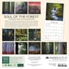 image Soul of the Forest 2024 Wall Calendar Alt1