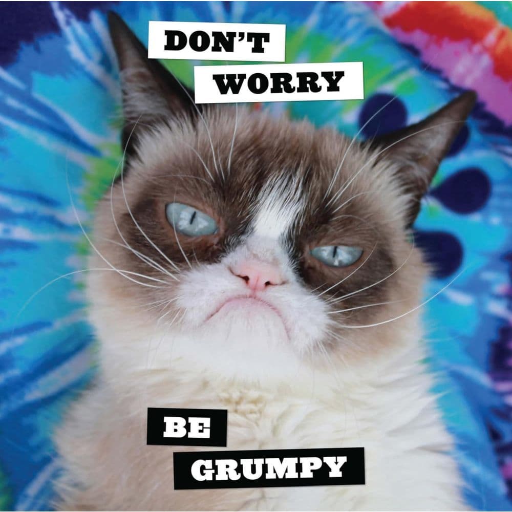 Grumpy Cat 2025 Wall Calendar Third Alternate Image width=&quot;1000&quot; height=&quot;1000&quot;