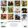 image Just Dachshunds 2026 Wall Calendar First Alternate Image
