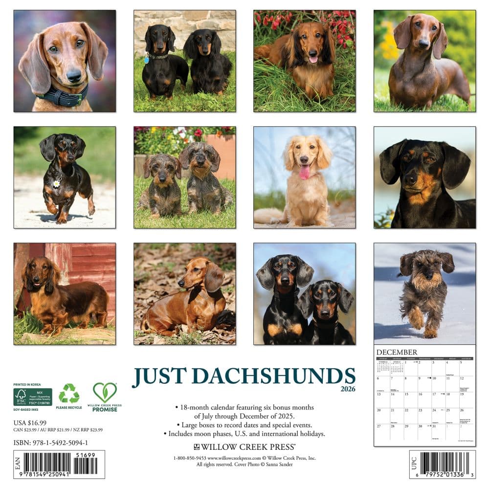 Just Dachshunds 2026 Wall Calendar First Alternate Image