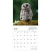 image Audubon Little Owls 2024 Mini Wall Calendar Third Alternate Image width=&quot;1000&quot; height=&quot;1000&quot;