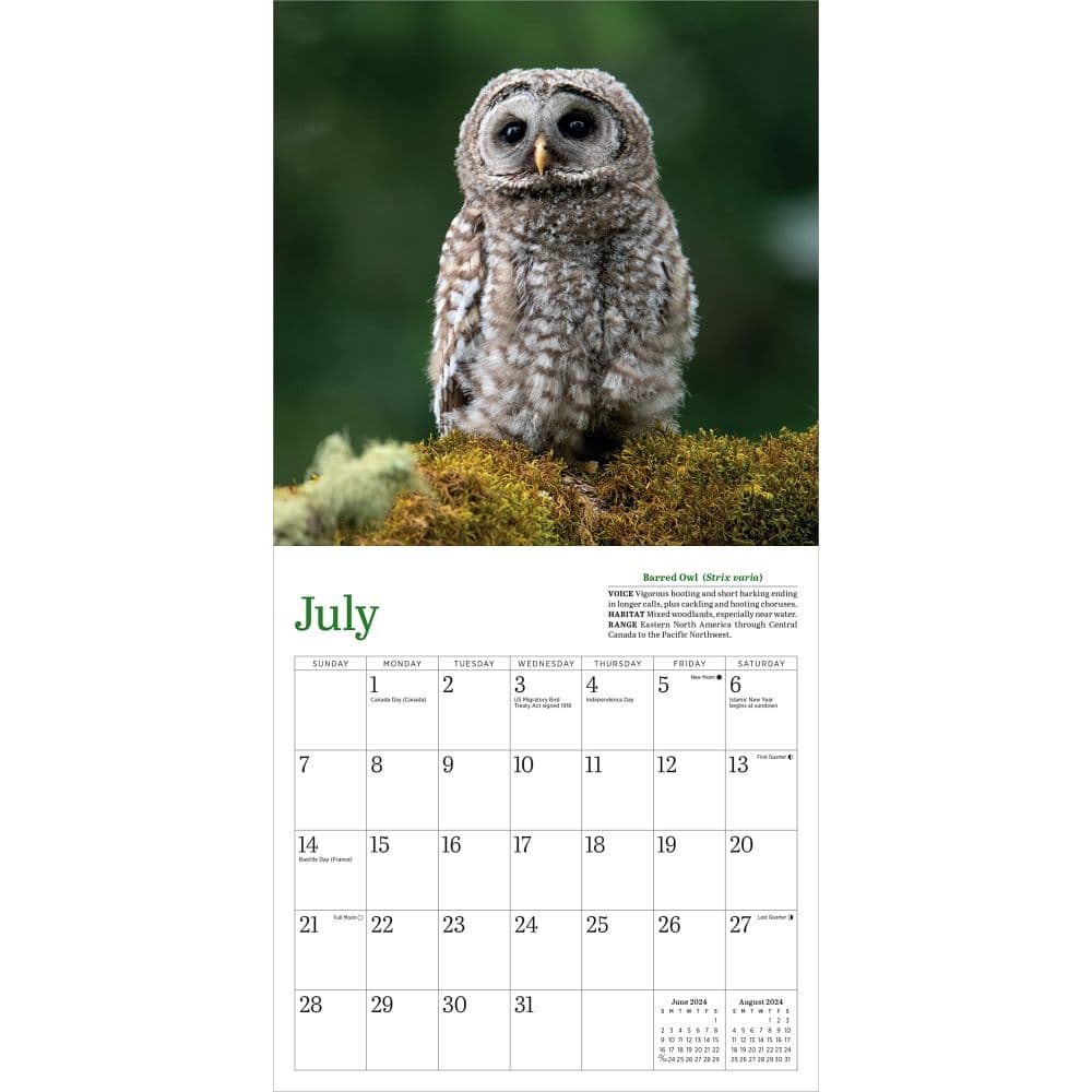 Audubon Little Owls 2024 Mini Wall Calendar Third Alternate Image width=&quot;1000&quot; height=&quot;1000&quot;