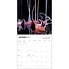 image Chihuly 2025 Wall Calendar First Alternate Image width=&quot;1000&quot; height=&quot;1000&quot;