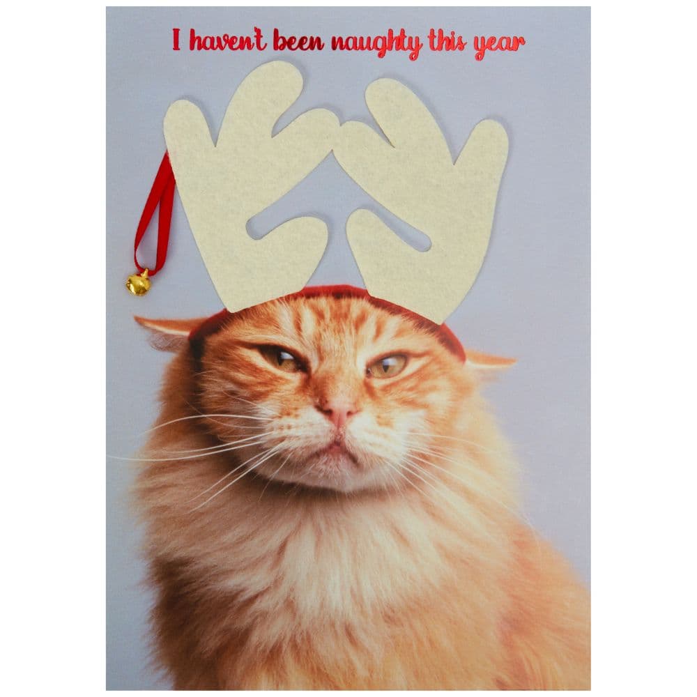 Cat with Antlers Christmas Card  First Alternate Image width=&quot;1000&quot; height=&quot;1000&quot;