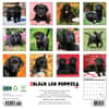 image Just Lab Black Puppies 2025 Wall Calendar First Alternate Image width=&quot;1000&quot; height=&quot;1000&quot;