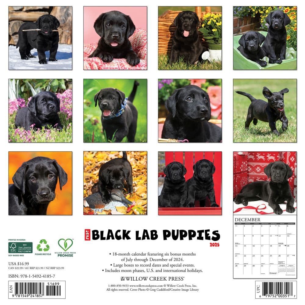 Just Lab Black Puppies 2025 Wall Calendar First Alternate Image width=&quot;1000&quot; height=&quot;1000&quot;