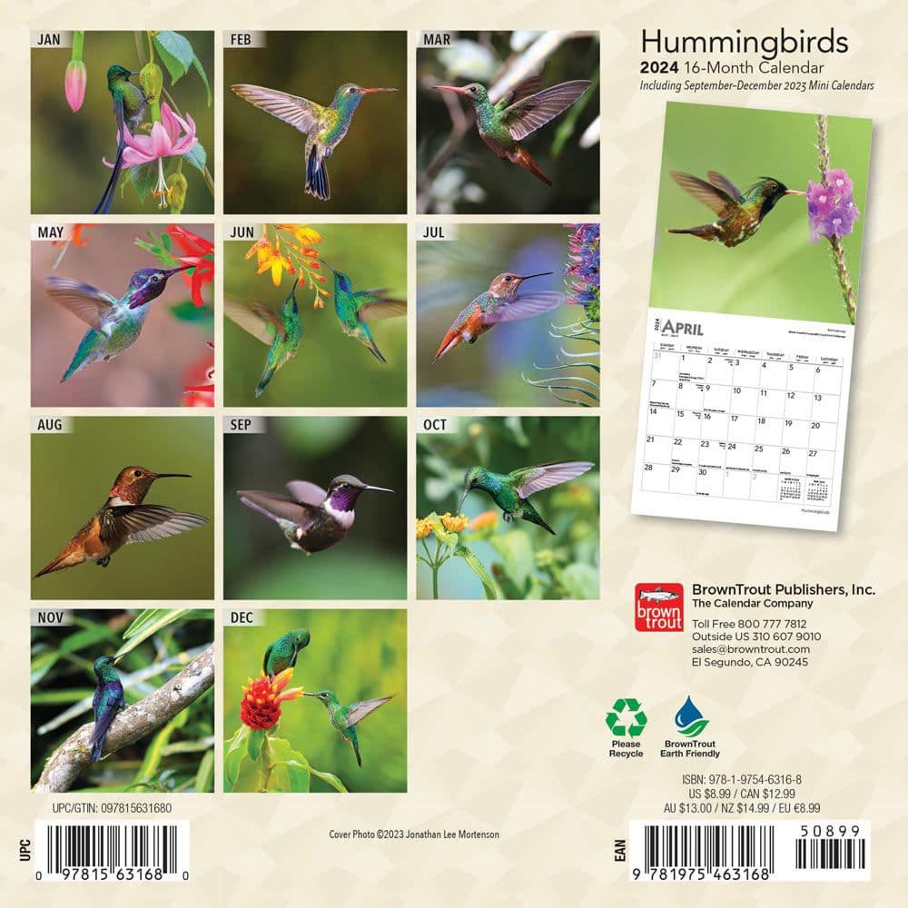 Hummingbirds 2024 Mini Wall Calendar