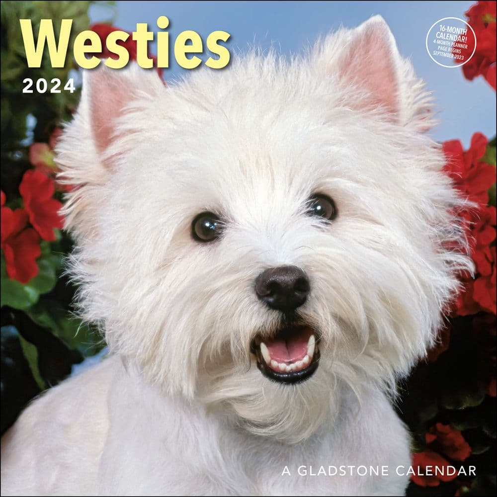 Westies 2024 Wall Calendar Main Product Image width=&quot;1000&quot; height=&quot;1000&quot;