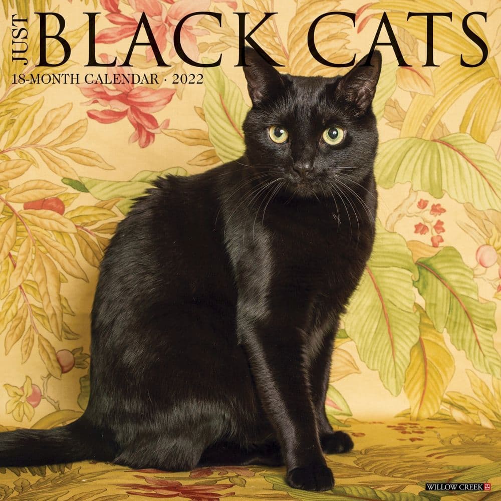 Black Cats 2022 Wall Calendar