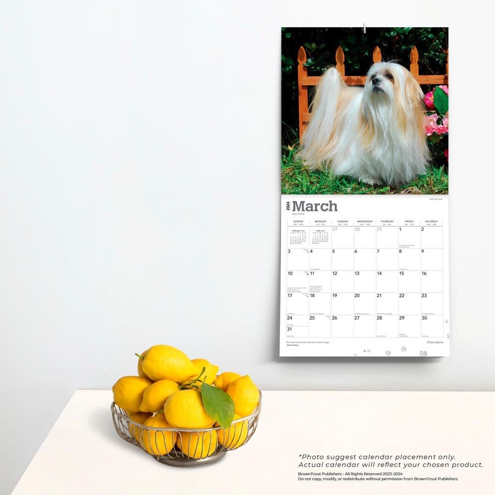 Lhasa Apsos 2024 Wall Calendar